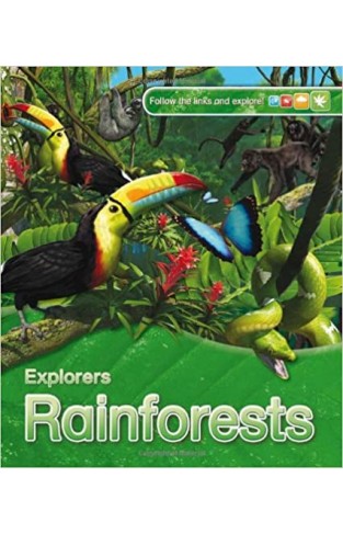 Explorers: Rainforest - Paperback